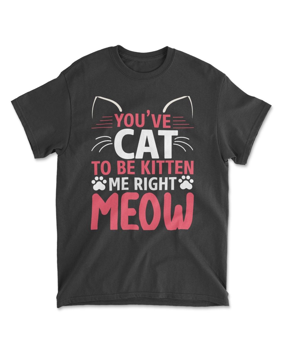 YOUVE CAT TO BE KITTEN ME RIGHT MEOW