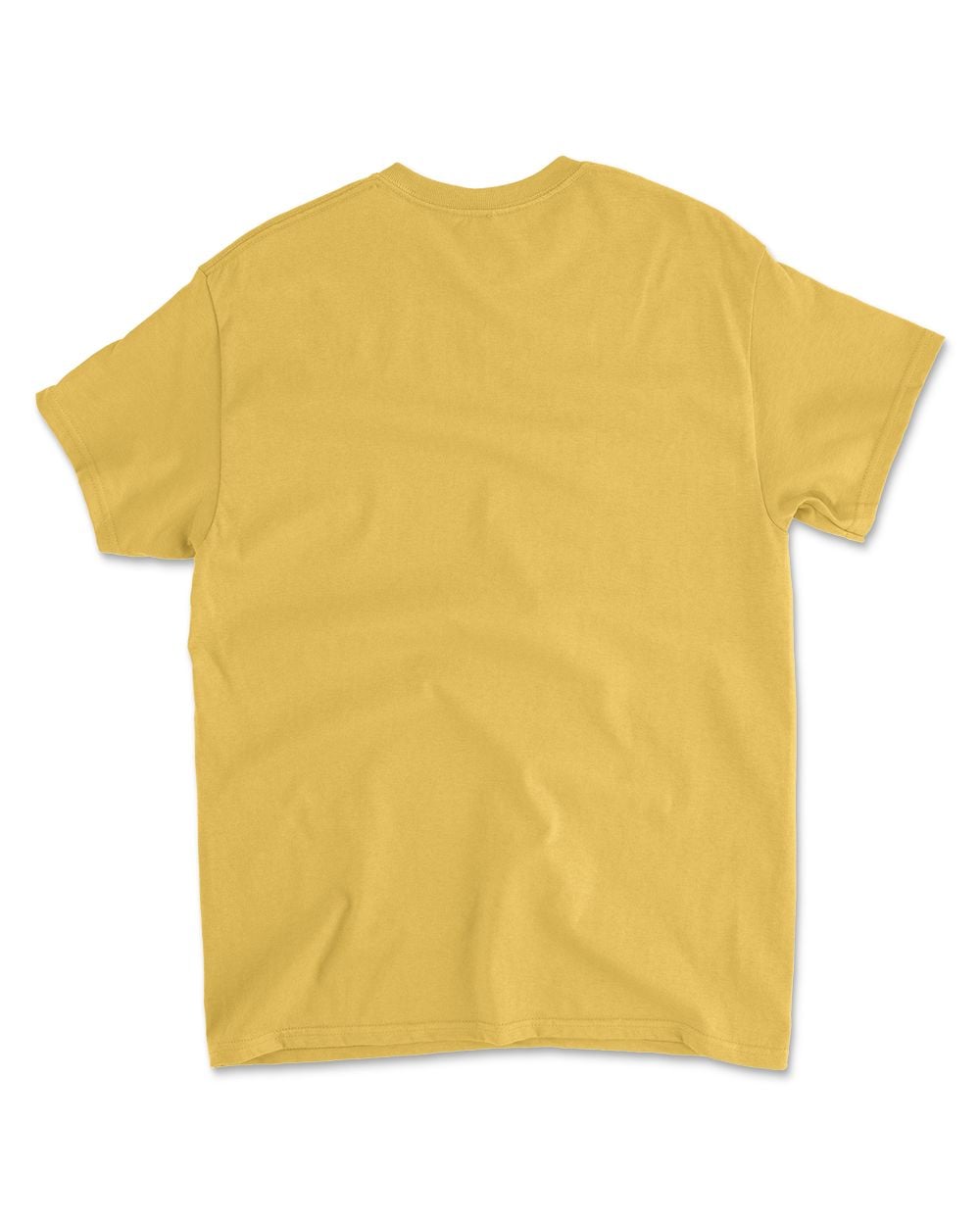 Cat Buckle Up Buttercup You Just Flipped My Witch Switch T-Shirt (9)