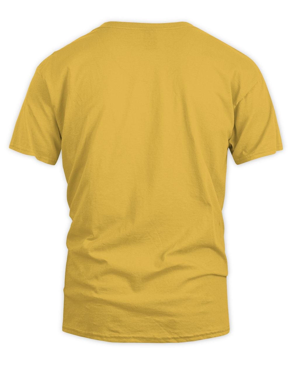 Cat Lover Gifts Funny Russian Blue Pumpkin Halloween T-Shirt
