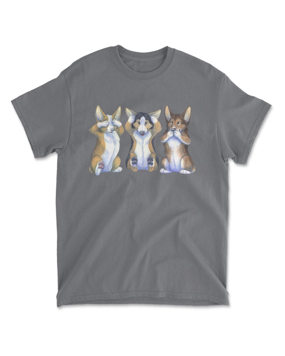 not found unheard does not say with corgi dog